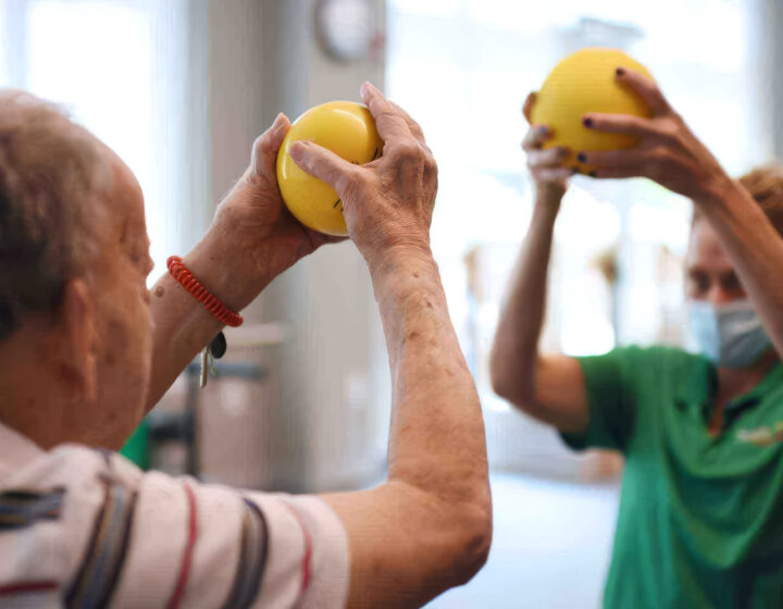 Greenleaf therapy balls upscaled